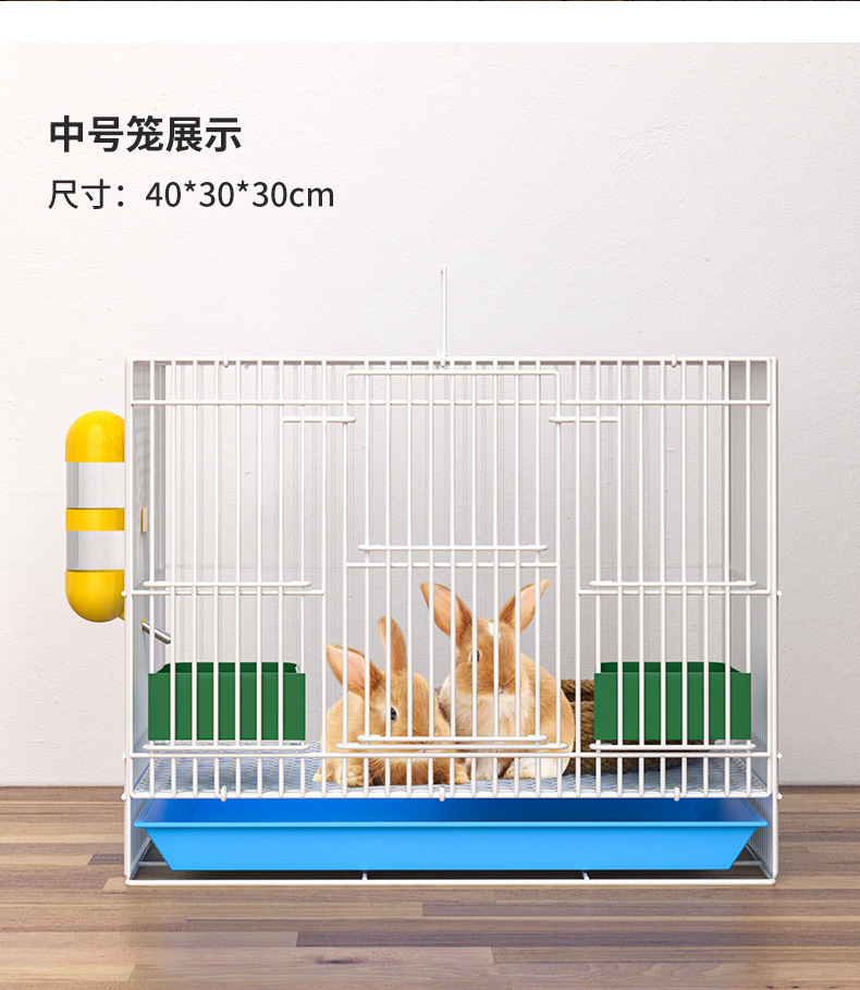 24dab582-1be1-4168-bd2d-6abf76d2cf7e.jpe