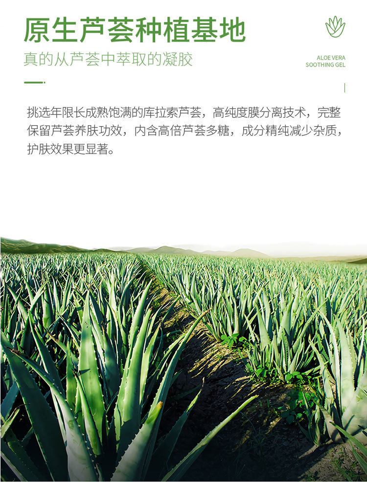 芦荟胶详情_06