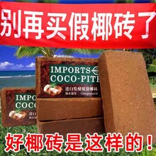 进口椰砖土通用型营养脱盐椰砖盆栽种植专用土壤种菜种花椰壳园艺