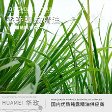 【精油】现货香茅驱蚊精油复方精油护肤品原料 植物纯露 芳疗产品