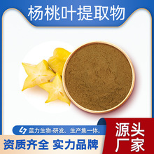 楊桃葉提取物 藍力生物 水溶50:1楊桃葉萃取粉 陽桃葉比例提取物