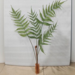 シミュレーション緑植単枝金糸猿シダ金毛犬シダネット赤植物家庭装飾赤シダ鳳尾シダ