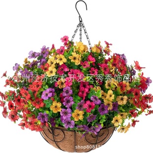�羳���滨�}�Q���F��Ҭ�ص��@�����_�m�b���ǰ�T��@���m����