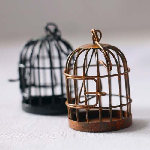 Ironwork Rust-Effect Birdcage Garden Patio Succulent Decorative Flower Basket Miniature Landscape Hollowed-Out Lace Wall Hanging Home Decor