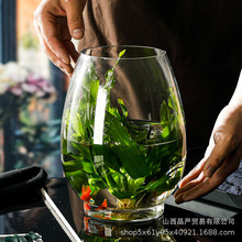 批发创意简约植物水培玻璃器皿透明花瓶办公室圆形生态小鱼缸摆件
