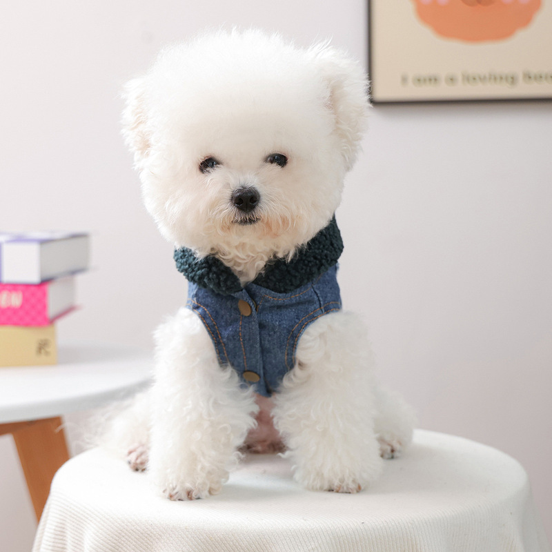 宠物衣服秋冬新款小型犬幼犬快乐狗猫保暖舒适羔羔绒帽牛仔衣绿帽|undefined