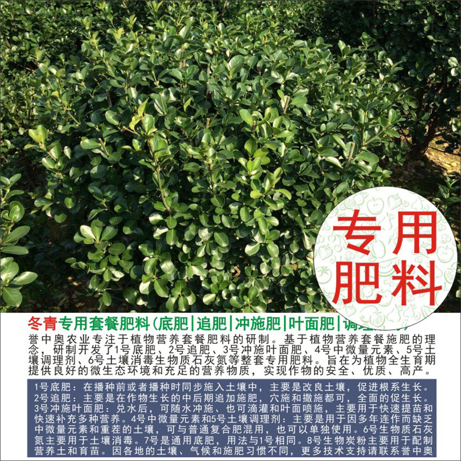 50�����а���ì����ר���л��ʸ��Ϸʵ׷�׷�ʳ�ʩ��Ҷ���ˮ