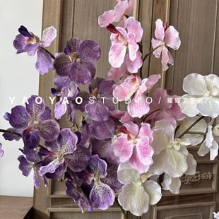 �¿�9�^�����m�f���m ��֦�����m���滨�ٻ��͏d�����廨�Ҿ��b�