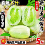 顺丰包邮 寿光玉女黄瓜当季水果新鲜整箱现摘拇指黄瓜生吃自然熟