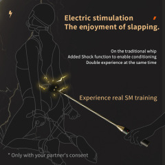Electric shock sex toy sm electric shock leather bat training stick female slave punishment torture tool female sp tool adult sex toy