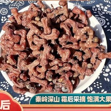 �؎X���r�՗��� 500g�f�۹� ���h���uצ���ח����ݾ�