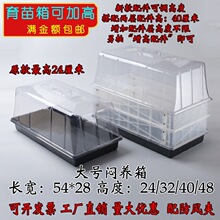 ���B������������P�Ӹ����b���w����ͥԺ�@ˇǤ�屣�؝�����ů��