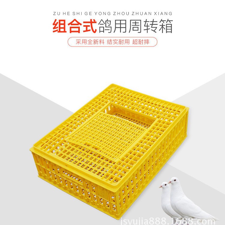 鸽笼鹌鹑笼成鸭周转箱成鸡箱鹅运输箱羽佳直销加厚全新熟料