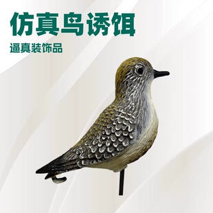 Golden Plover Decoy �R�������N�����B �羳���؛Դ