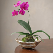 �k���ҿ͏d�[���бPާ�ֲ����o���մ�ˮ������̦�\����Cе