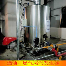 加工定制 燃气蒸汽发生器 厂家定制 免年检蒸汽发生器 燃油蒸发器
