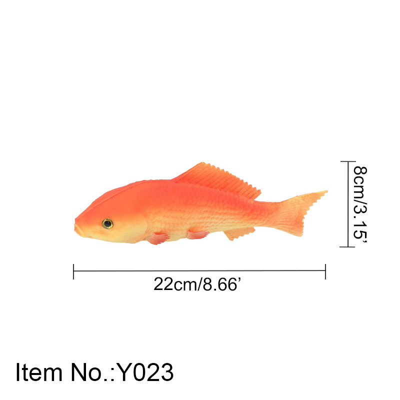 작은 빨간 잉어