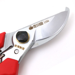 Sakawata 120A Branch Pruning Garden Fruit Branch Pruning Gardening Pruning Shears Garden Pruning Alice
