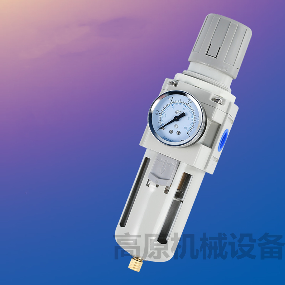 空气过滤器 AF5000-10 AF5000-06 1寸空气过滤器 自动排水过滤器