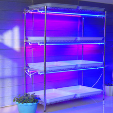 P䓽MֲܶBܼС߲˼LEDt{aL