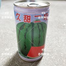 天池牌久甜二号花皮无籽西瓜种中晚熟高圆型耐贮运400粒