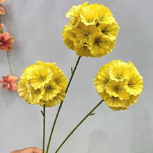 �Sɫ����c�Y�û���·���廨�컨ˇ���b��ٻ��廨��Y�S��