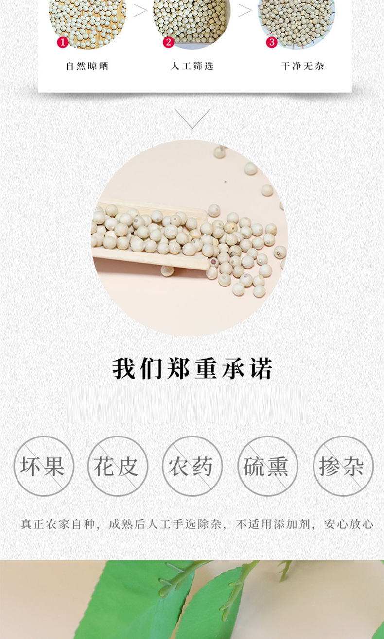 White Pepper Whole Peppercorns Bai Hu Jiao 50g Culinary Spice for Soups Marinades and Seasoning key features