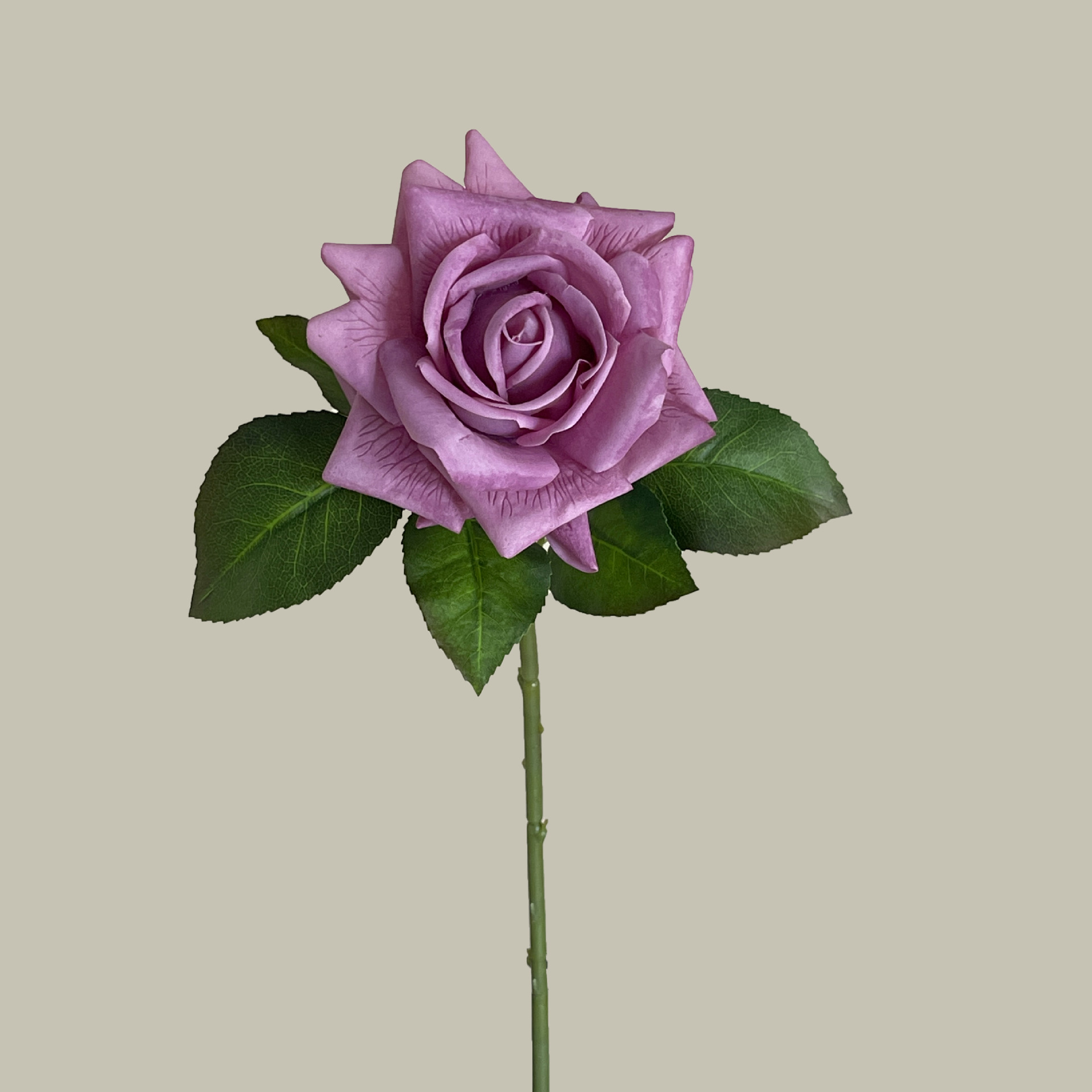 보라색