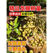 ���ۘ���޽�����ˮ�����烦�����Aʯ��ȫ���ļ��Nֲ���䮔��Y��