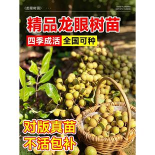 ���ۘ���޽�����ˮ�����烦�����Aʯ��ȫ���ļ��Nֲ���䮔��Y��