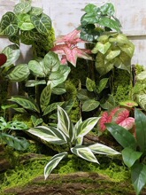 ���ָ�ֲ�������~�����Ƶ�͏d�[���~�Ӿ��^�Gֲ���쾰�b�