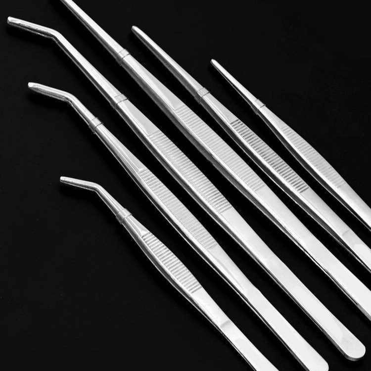 Thickened 304 Stainless Steel Tweezers with Round Teeth, Suitable for Handling Succulents, Aquatic Plants, Feeding, and Extended Laboratory Use