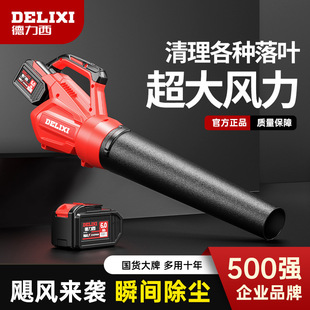 Delixi Lithium Storm Gun High-Power Powerful Industrial Wireless Snow Blower Sanitation Worker Hair Dryer