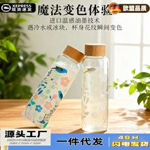 冷泡变色玻璃杯网红冷萃咖啡杯牛奶杯高硼硅玻璃耐高温水杯随手杯