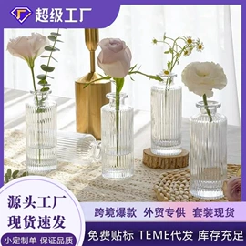 装饰花瓶;密封盒储物罐;玻璃罐