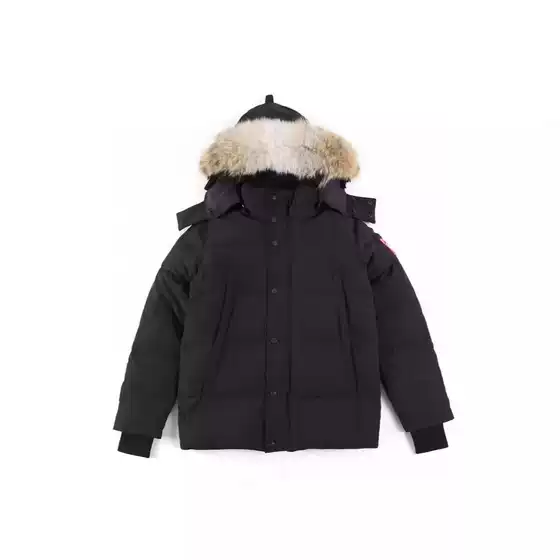 Big Goose down Jacket Wyndham29 Big Goose down Jacket White Duck down 3808m Canada