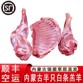 内蒙古羔羊肉全羊整只 半只白条羊羊排羊腿年货  半只羊 10斤