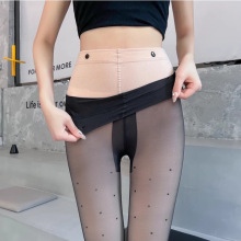 �ɲ�ж�\�ڲ��c�z�m�p���Bѝ�m���ļ�͸�w���ȈA�c�����ﶬ�ӽq�m