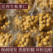 2025�w���F��ȥƤ�����������r�����ȥ������������Ӻӱ�������