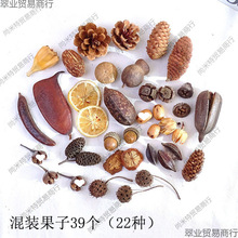 ɻɹMb׃@DIYֹϰɹɻ[յ