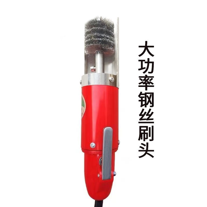 洗猪脚商用电动去除烤黑猪脚猪头机器多功能清洗机洗羊头机