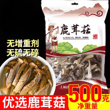 鹿茸菇干货优级500g批发商用云南野生煲汤料包新鲜干鹿茸菌