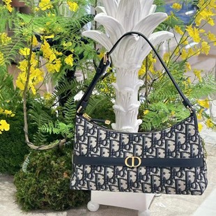 2024 new style dumpling bag CD presbyteric letter shoulder underarm bag ladies handbag high quality embroidery presbyteric