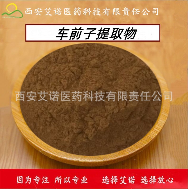 车前子提取物 车前子粉30:1高比例含量天然植物子车前子提取
