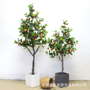 ���ӽ��Ә�͏d����b�����ˮ�������ϻ��٘�[���������Ә�