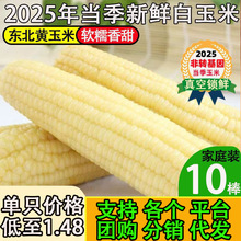 ���ږ|����Ŵ���״ּZ�������r�����������Ŵ���װ���հ��b����