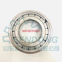 N41267H300ALSЙCе÷ǘSЬF؛l