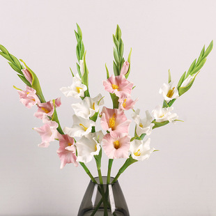 ��Ʒ�|PU���m���滨�ҾӲ廨��Y�bٻ��羳���s���愦�m���l