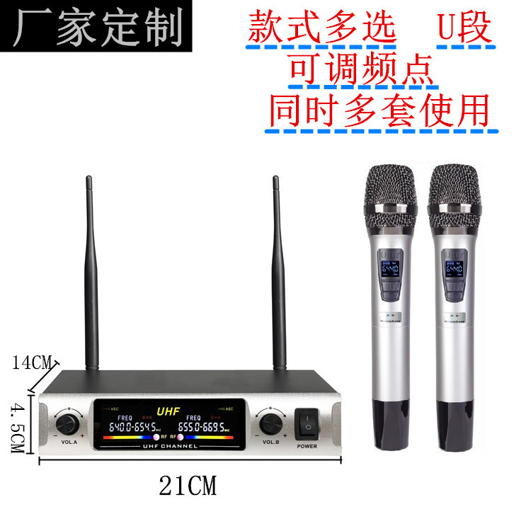 Wireless Microphone One to Two U-segment Fm Home KTV Amplifier Performance Microphone Manufacturer Wholesale Can LOGO