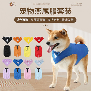 宠物服装多样